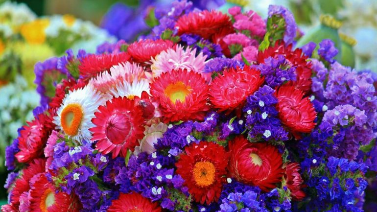 5 tipov na sušené kvety do váz a vencov plus rady, ako ich sušiť