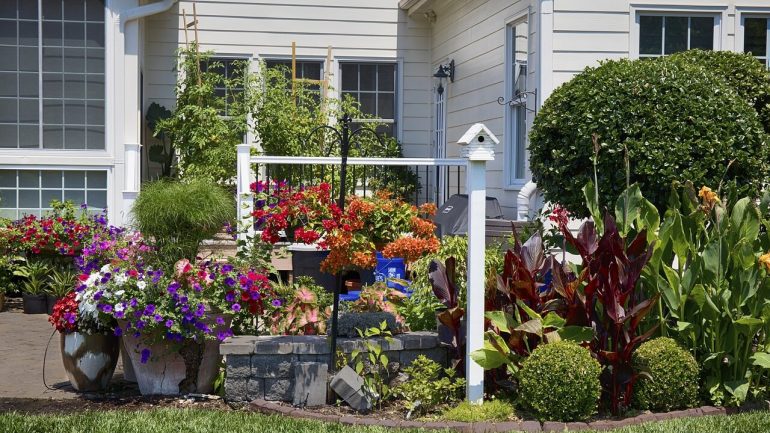 4 tipy, aby vaša záhrada v máji krásne zakvitla
