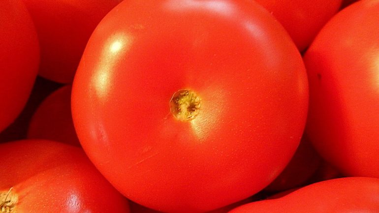paradajky na Máme pre vás recept na zdravý polotovar, ktorý sa dá pripraviť z paradajok z vašej záhrady. Poradíme vám a.ko si pripraviť zdravú paradajkovú šťavu