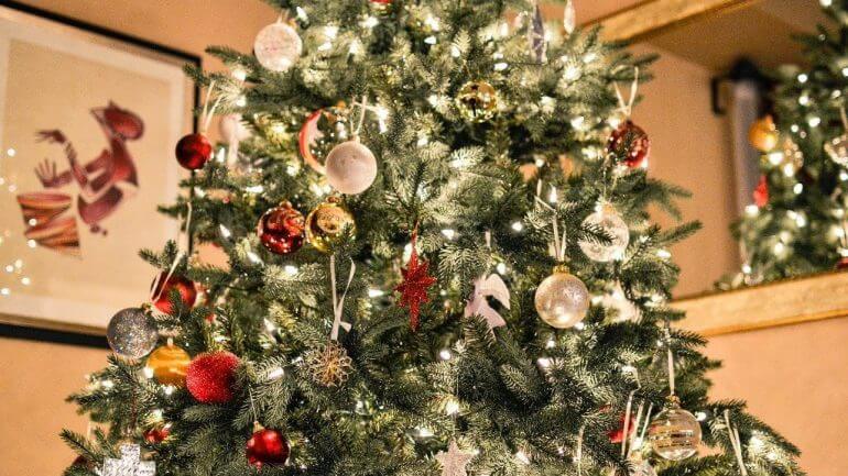 Ako vybrať ten správny vianočný stromček?