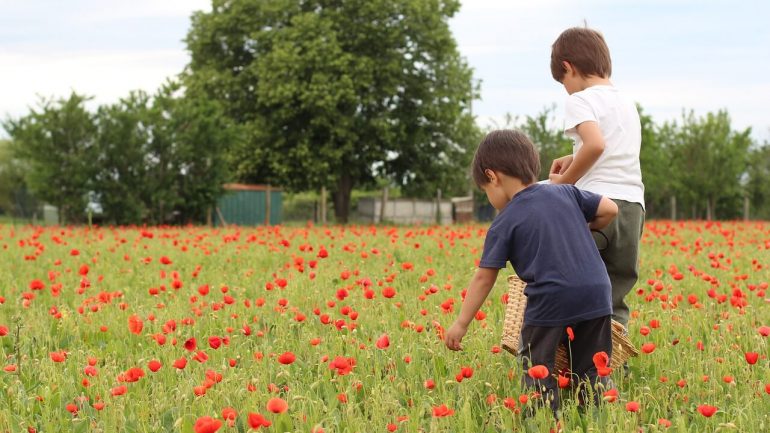 Škola vo vašej záhrade: Ako vyučovať deti doma?