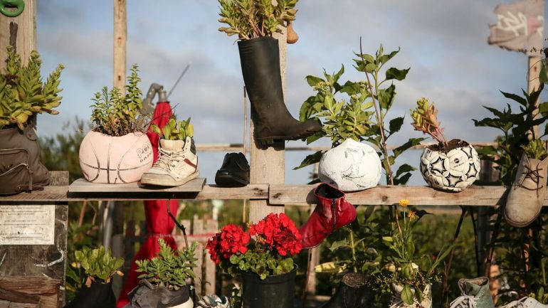 Nápady, ako na pestovanie rastlín v topánkach