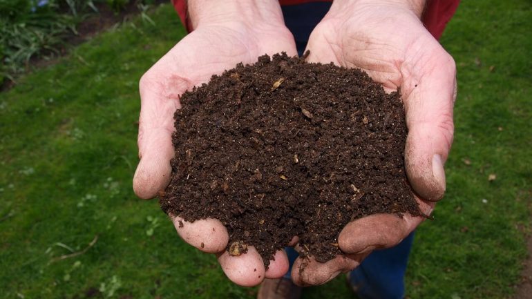 7 výhod kompostu z mäty vo vašej záhrade, časť I.