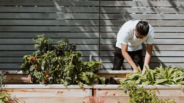Čo je square food gardening a zásady tohto pestovania
