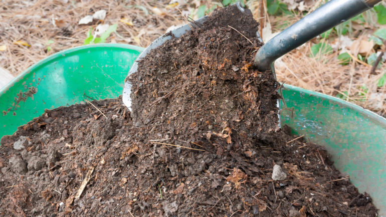 Ideálny kompost: Takto ho treba ošetrovať.