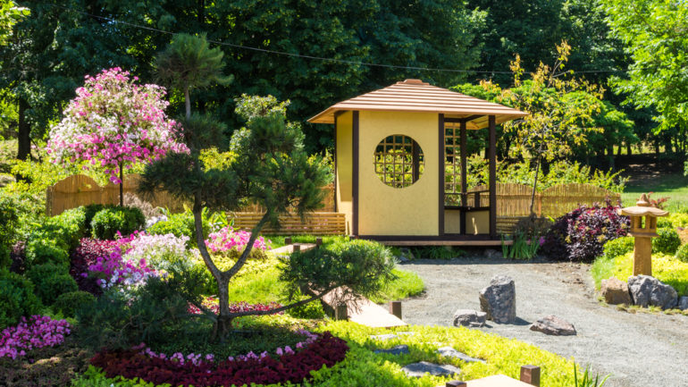 9 japonských rastlín vhodných do zenovej záhrady