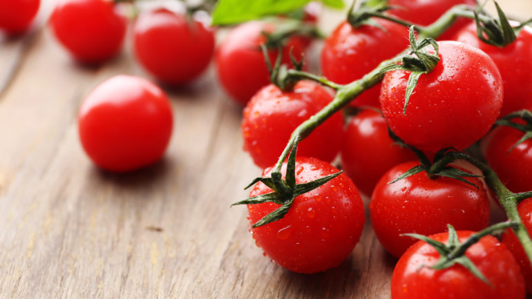 6 zásadných vecí, ktoré treba vedieť, ak pestujete paradajky