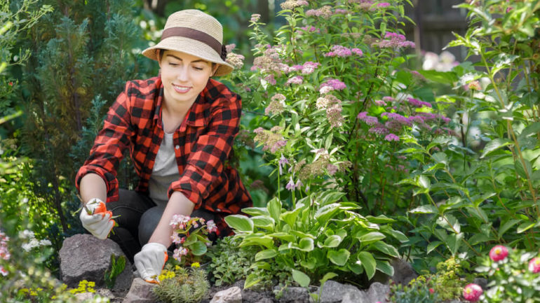 5 rád pre lenivého záhradkára, ako bojovať s burinou