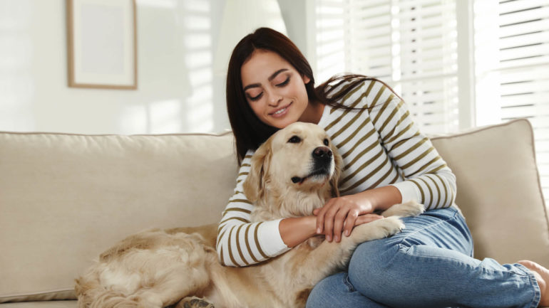 Ako sa starať o srsť vášho psa, aby bola lesklá a zdravá