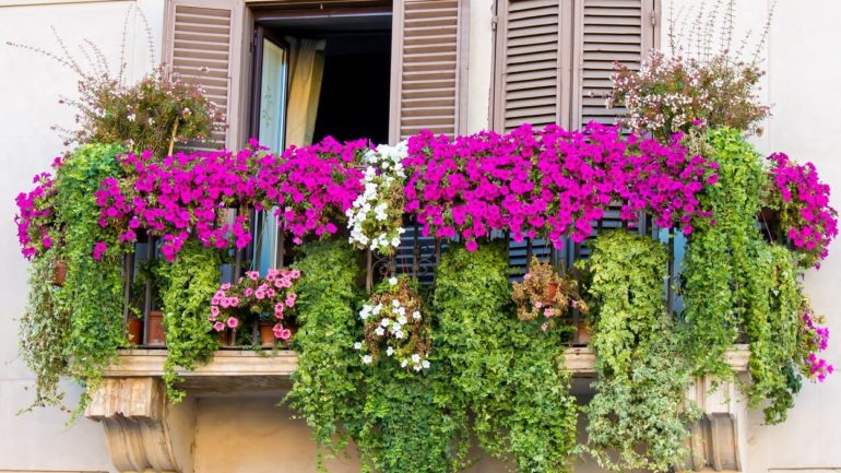 Vhodné štýly na váš kvetinový balkón - zelená oáza v malom