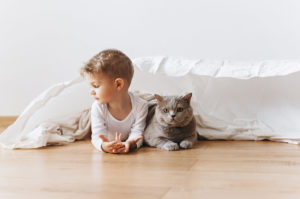 mačka a chlapec