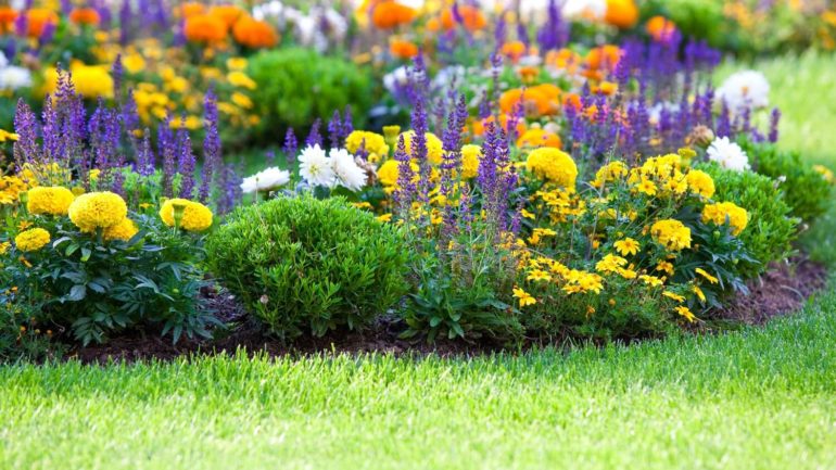 Okrasná záhrada: 10 najčastejších chýb, ktoré robíme